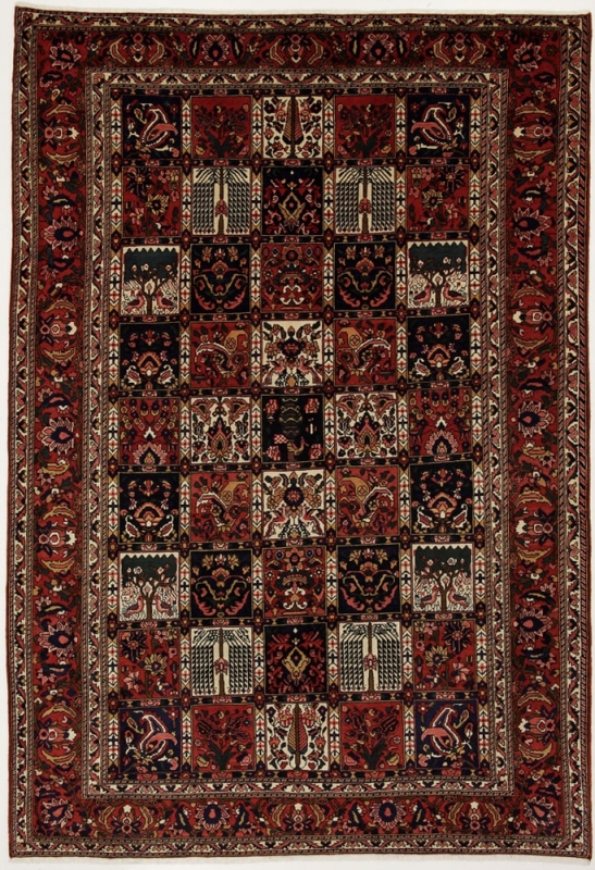 Perserteppich Bakhtiar-Felder Multicolour (215x310cm)