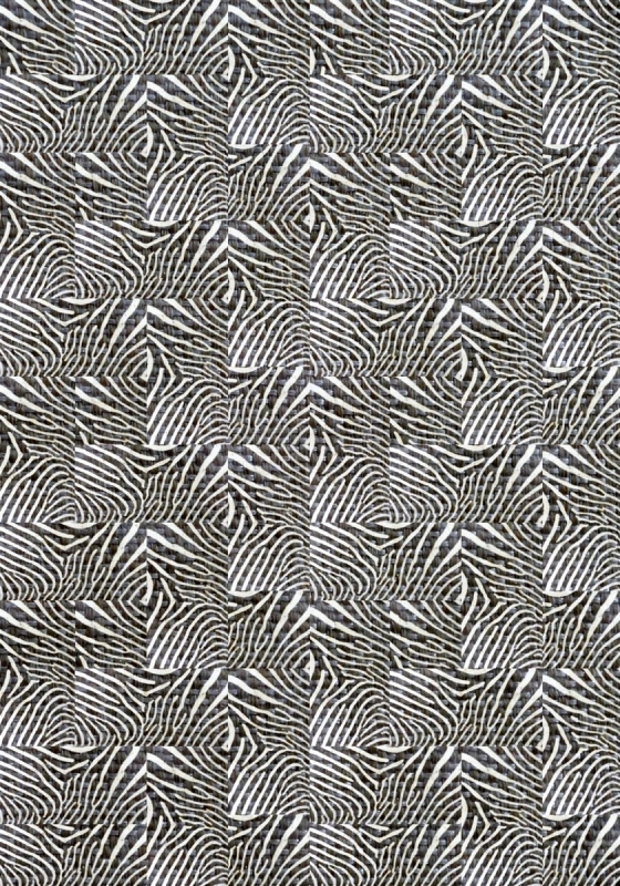 Teppich 316 Zebra, 140x200 cm